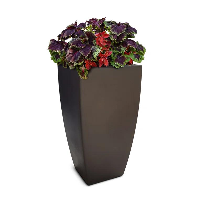 Mayne Inc. Vernamae  Resin Pot Planter With Water Reservoir