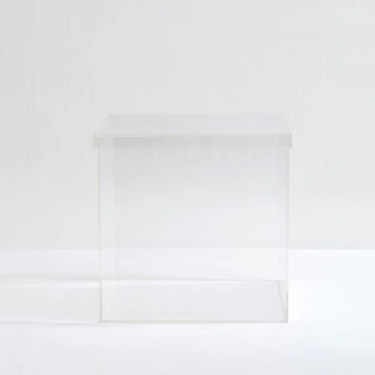 Lucite Clear Square Pet Toy Storage Cube with Removable Lid - 12"