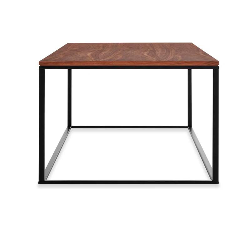 Minimalista Coffee Table with Marble Top