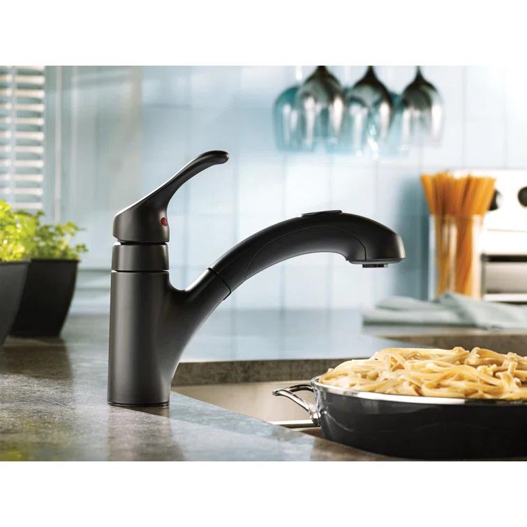 Renzo Single Handle Kitchen Faucet with Duralock