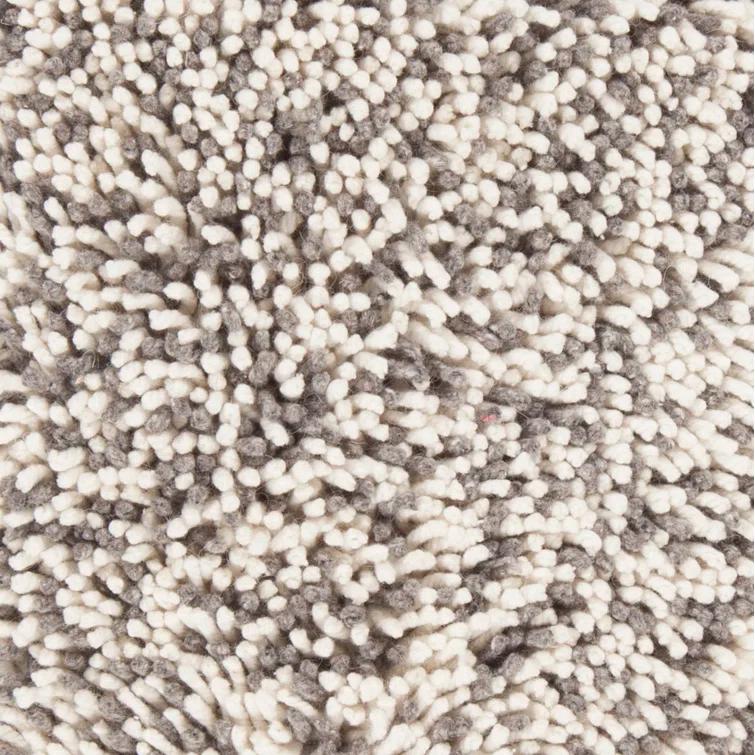 Eleanor Shag White/Gray Area Rug