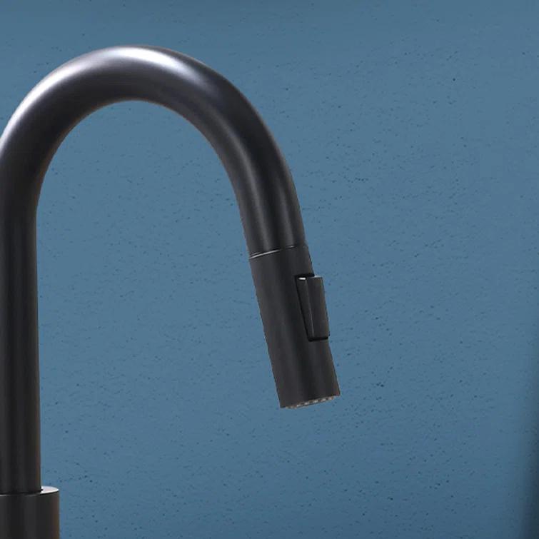 Topcraft Pull Down Kitchen Faucet