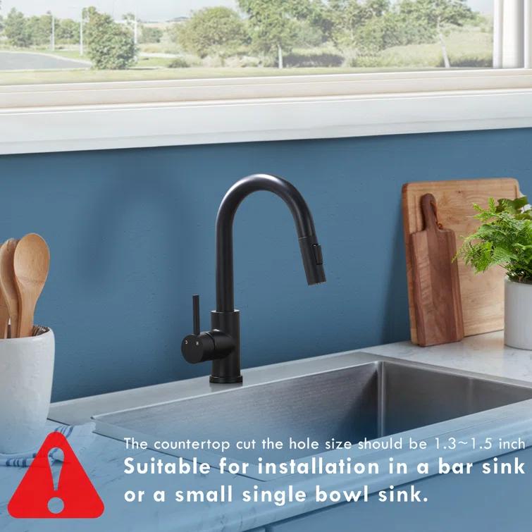 Topcraft Pull Down Kitchen Faucet