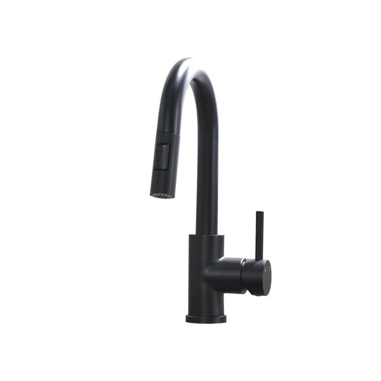 Topcraft Pull Down Kitchen Faucet