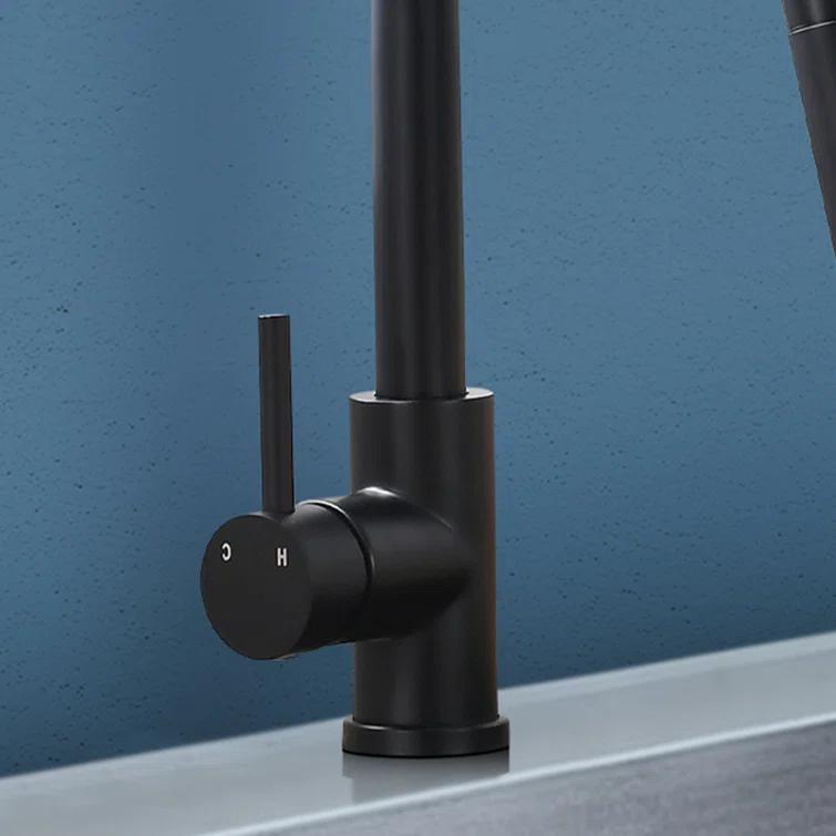 Topcraft Pull Down Kitchen Faucet