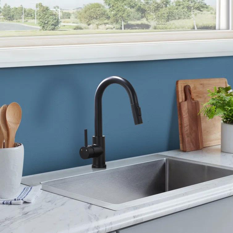 Topcraft Pull Down Kitchen Faucet