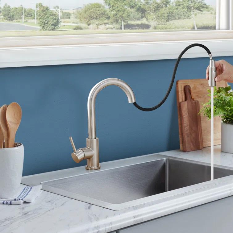 Topcraft Pull Down Kitchen Faucet