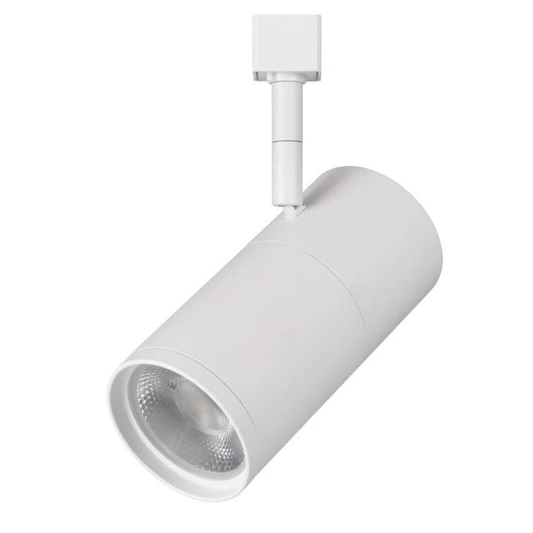 313 Track LED Fixed Track Head