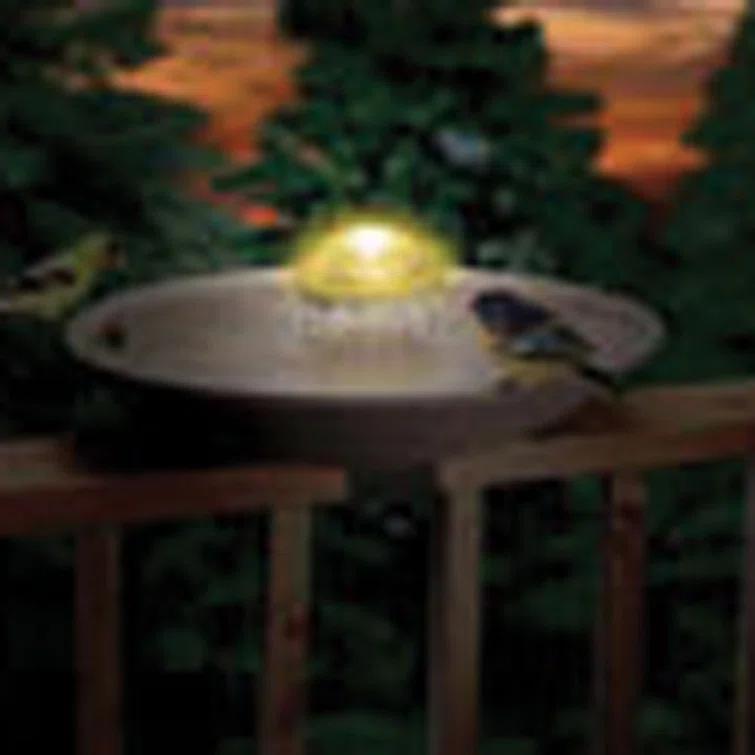 Water Wiggler Bird Bath Water Agitator, Includes Rainbow Night Light