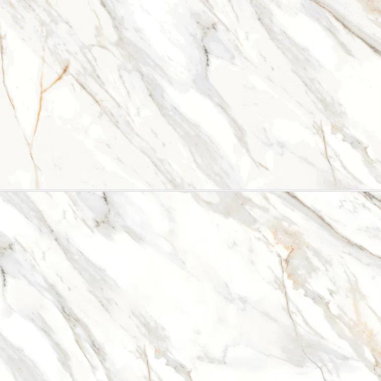 Shandar 24" x 48" Porcelain Marble Look Wall Floor Use Tile in Arezzo Bianco