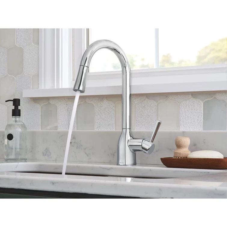 Adler Pull Down Single Handle Kitchen Faucet with Accessories