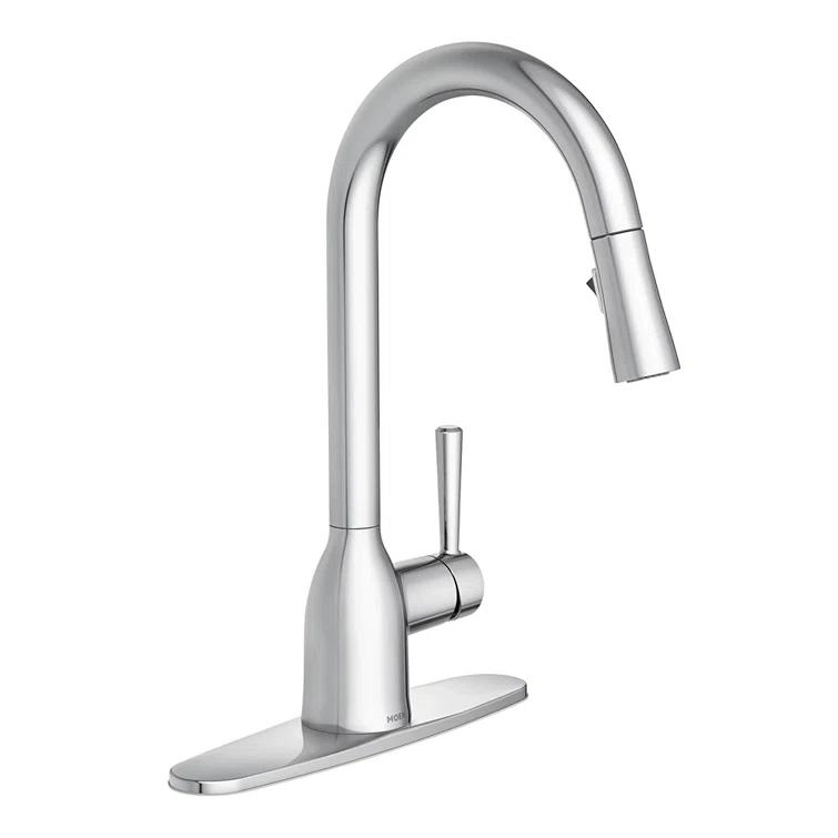 Adler Pull Down Single Handle Kitchen Faucet with Accessories
