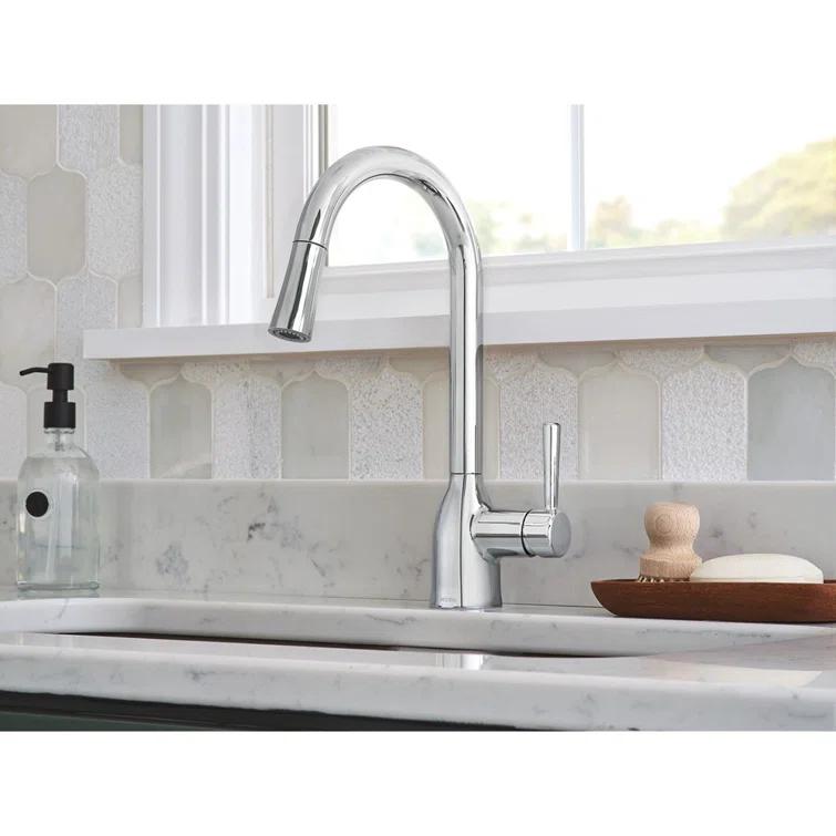 Adler Pull Down Single Handle Kitchen Faucet with Accessories
