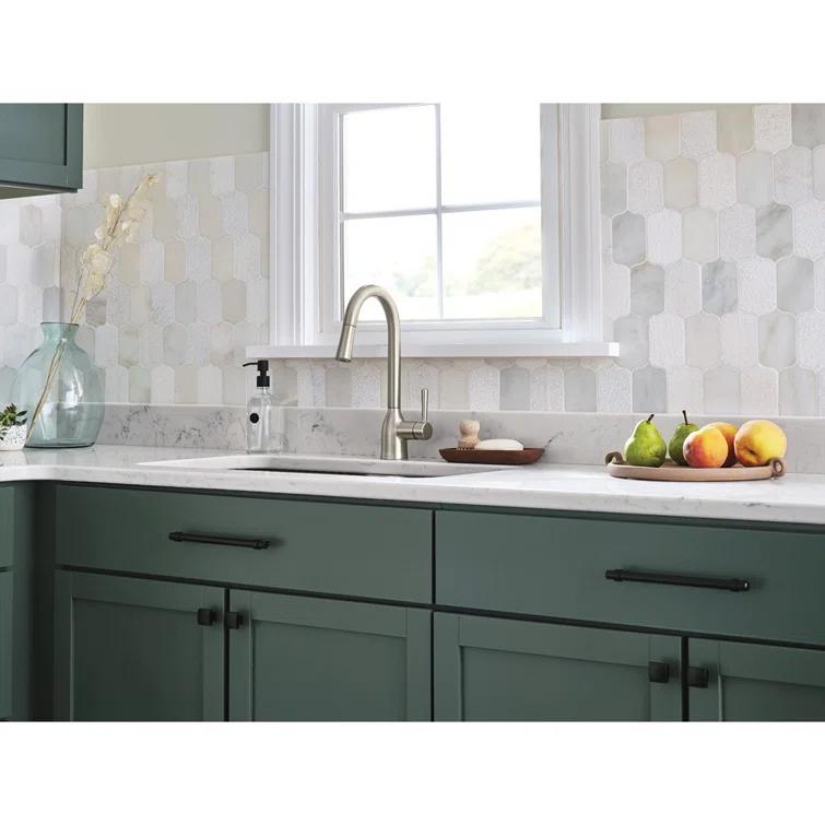 Adler Pull Down Single Handle Kitchen Faucet with Accessories