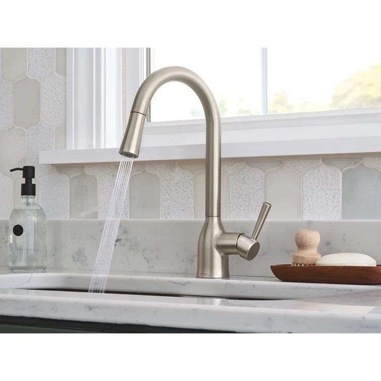 Adler Pull Down Single Handle Kitchen Faucet with Accessories