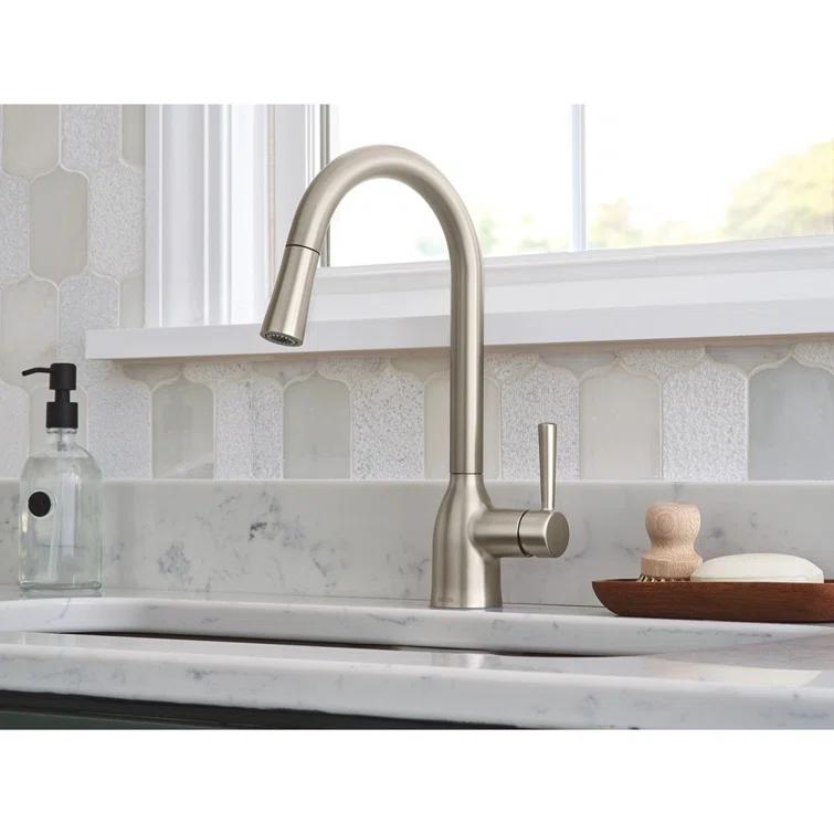 Adler Pull Down Single Handle Kitchen Faucet with Accessories
