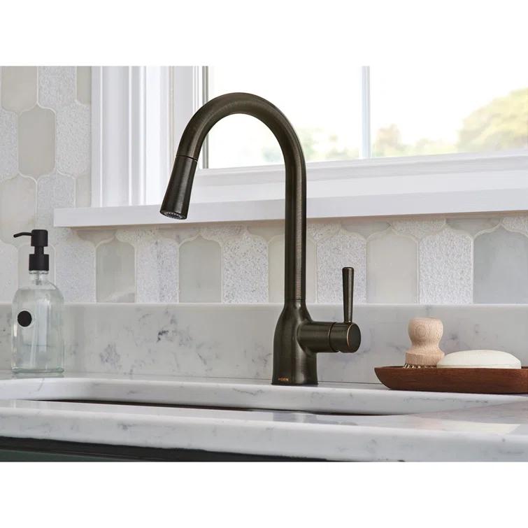 Adler Pull Down Single Handle Kitchen Faucet with Accessories