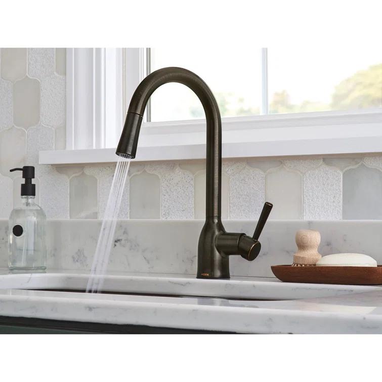 Adler Pull Down Single Handle Kitchen Faucet with Accessories