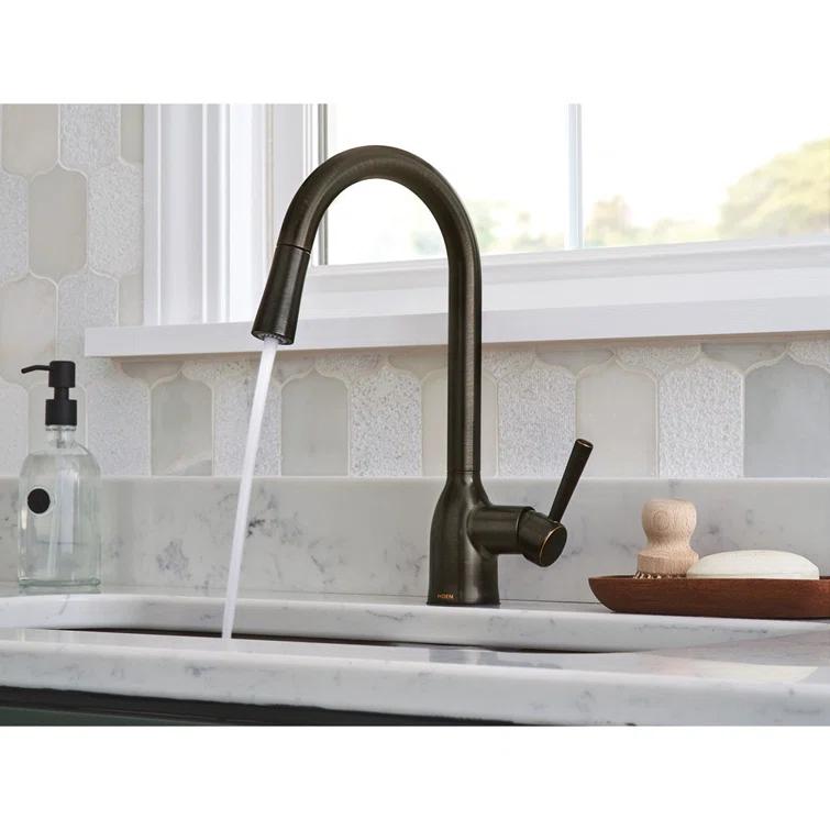 Adler Pull Down Single Handle Kitchen Faucet with Accessories