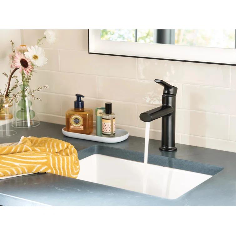Moen Meena Single Hole Bathroom Faucet with Drain Assembly