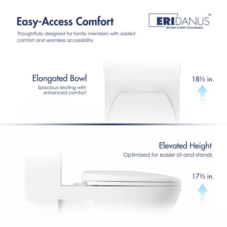 Denbigh Chair Height Elongated Comfort Height One-Piece Toilet (Seat Included)