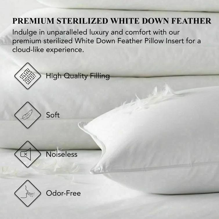 Throw Pillow Insert Down Feather Filled (Set of 2)