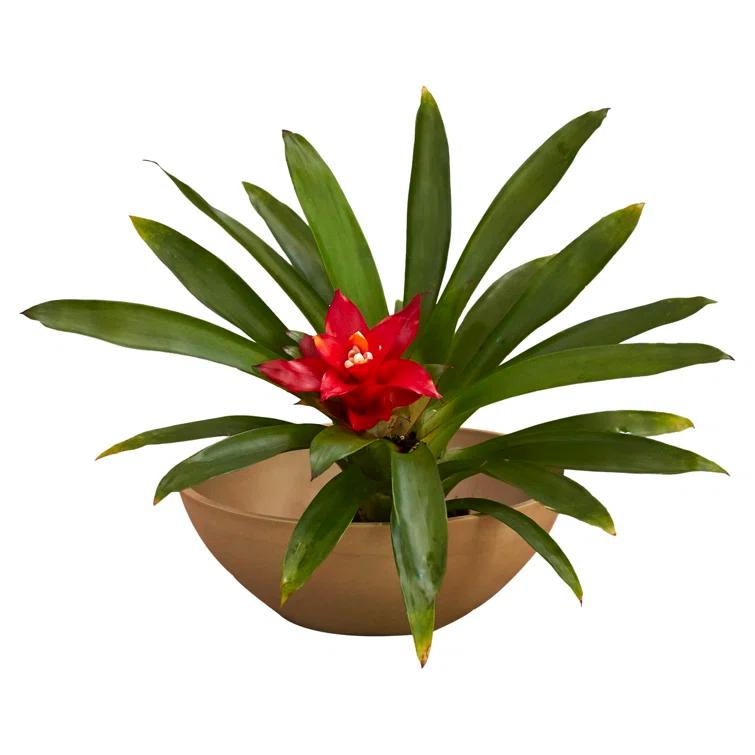 Haven Pot Planter