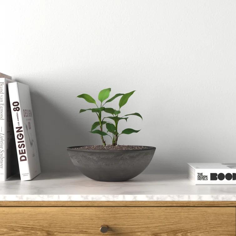 Haven Pot Planter