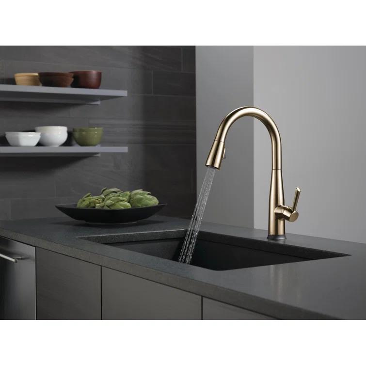 Essa Pull Down Single Handle Kitchen Faucet with MagnaTite Docking and Touch2O Technology