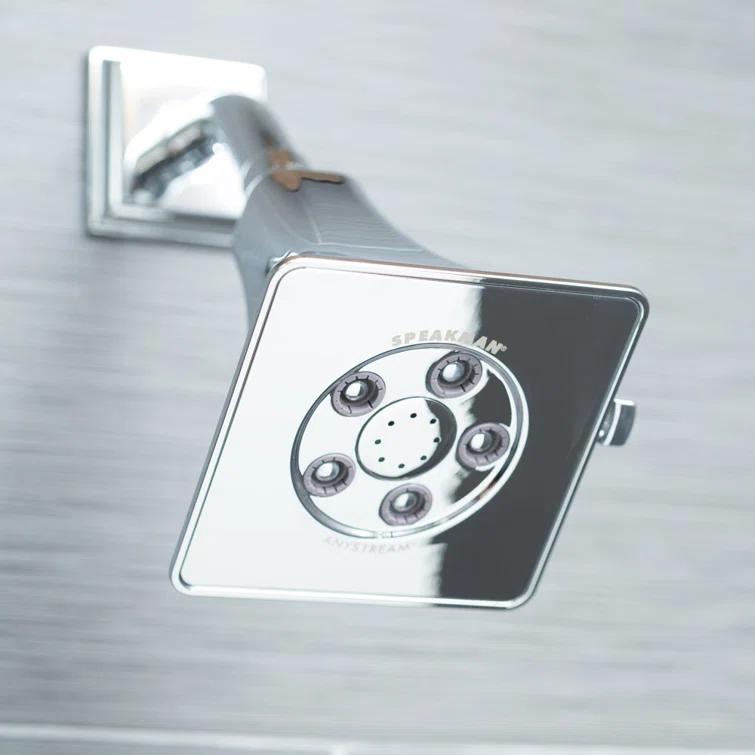 Rainier 2.0 GPM Adjustable Shower Head