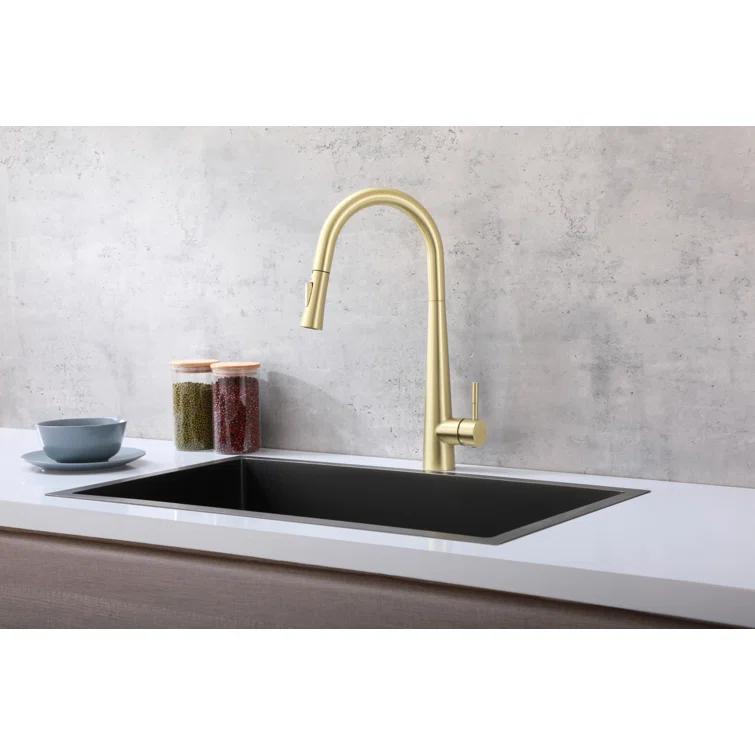 Elegant Lighting Lucas Pull Down Spray Kitchen Faucet