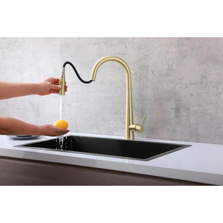 Elegant Lighting Lucas Pull Down Spray Kitchen Faucet