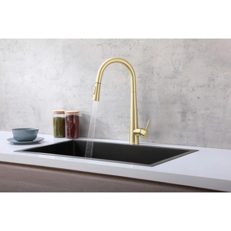 Elegant Lighting Lucas Pull Down Spray Kitchen Faucet