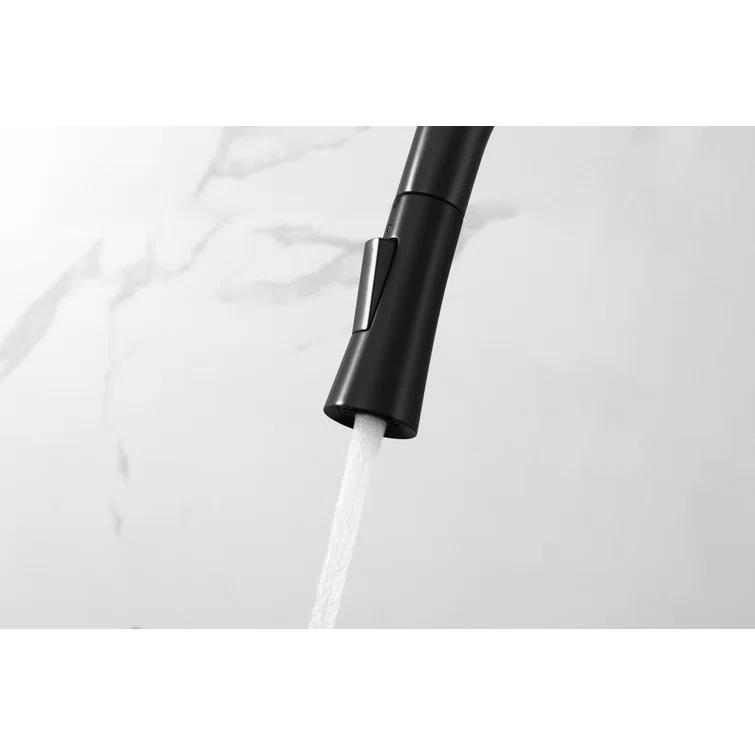 Elegant Lighting Lucas Pull Down Spray Kitchen Faucet