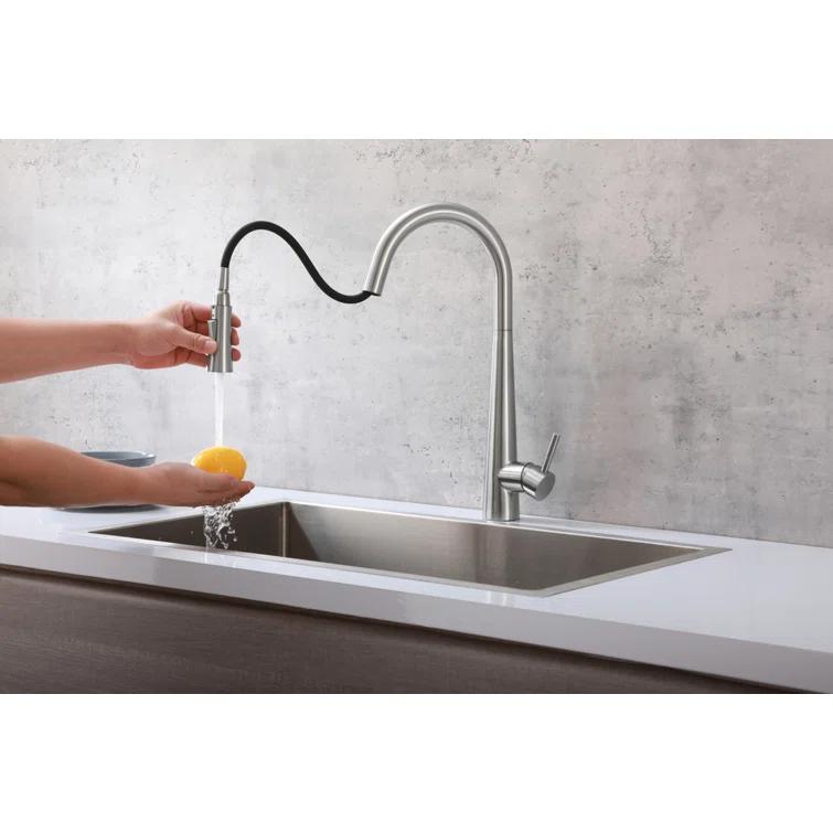Elegant Lighting Lucas Pull Down Spray Kitchen Faucet