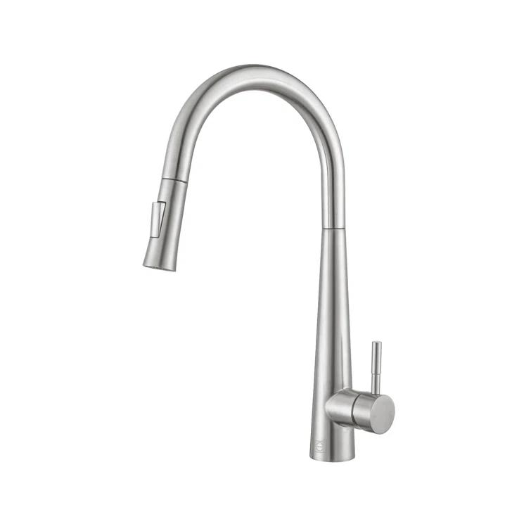 Elegant Lighting Lucas Pull Down Spray Kitchen Faucet