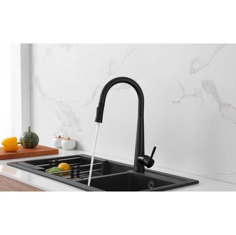 Elegant Lighting Lucas Pull Down Spray Kitchen Faucet