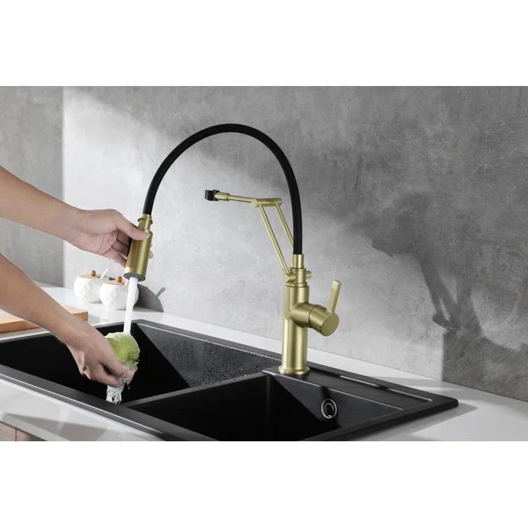 Elegant Lighting Leonardo Pull Down Spray Kitchen Faucet