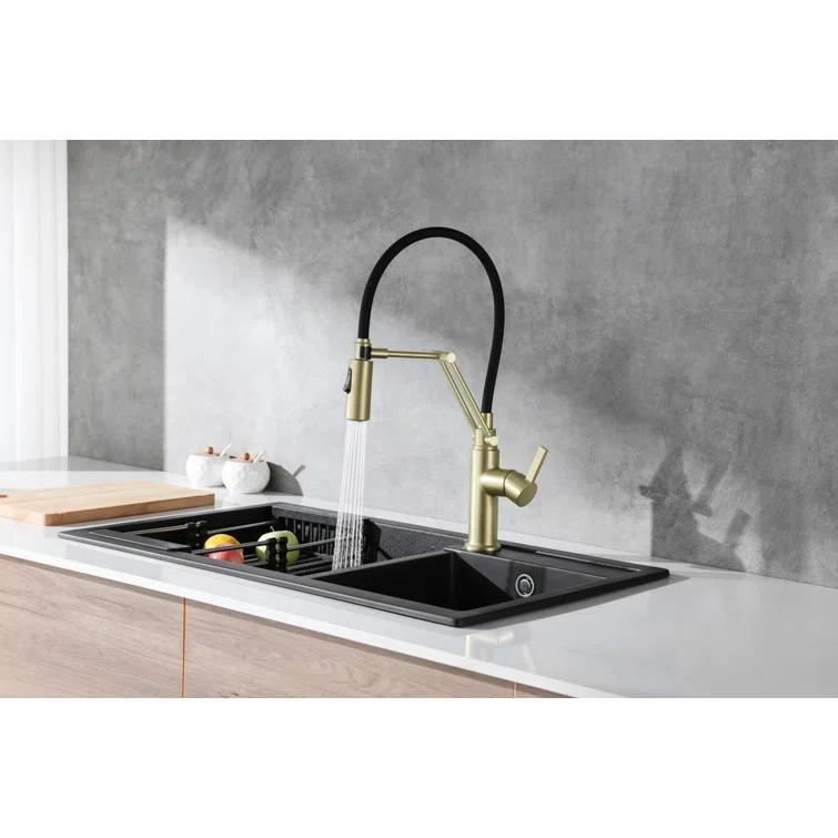 Elegant Lighting Leonardo Pull Down Spray Kitchen Faucet
