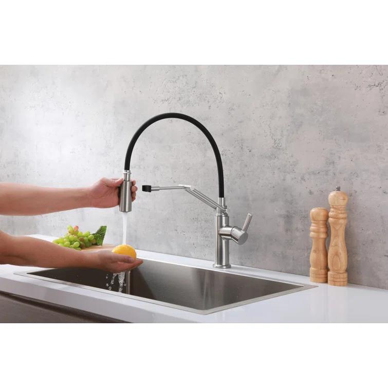 Elegant Lighting Leonardo Pull Down Spray Kitchen Faucet