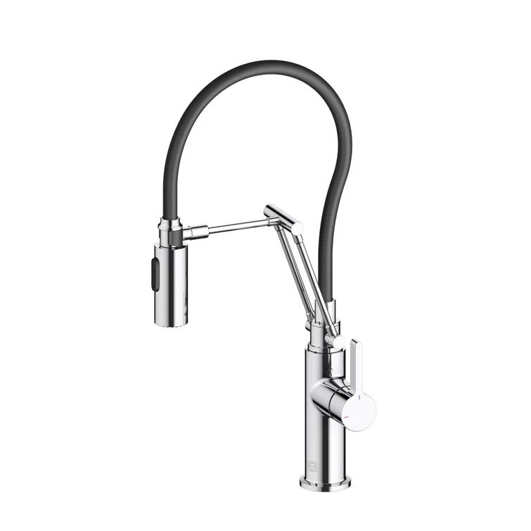 Elegant Lighting Leonardo Pull Down Spray Kitchen Faucet
