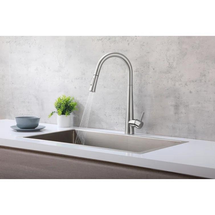Elegant Lighting Lucas Pull Down Spray Kitchen Faucet