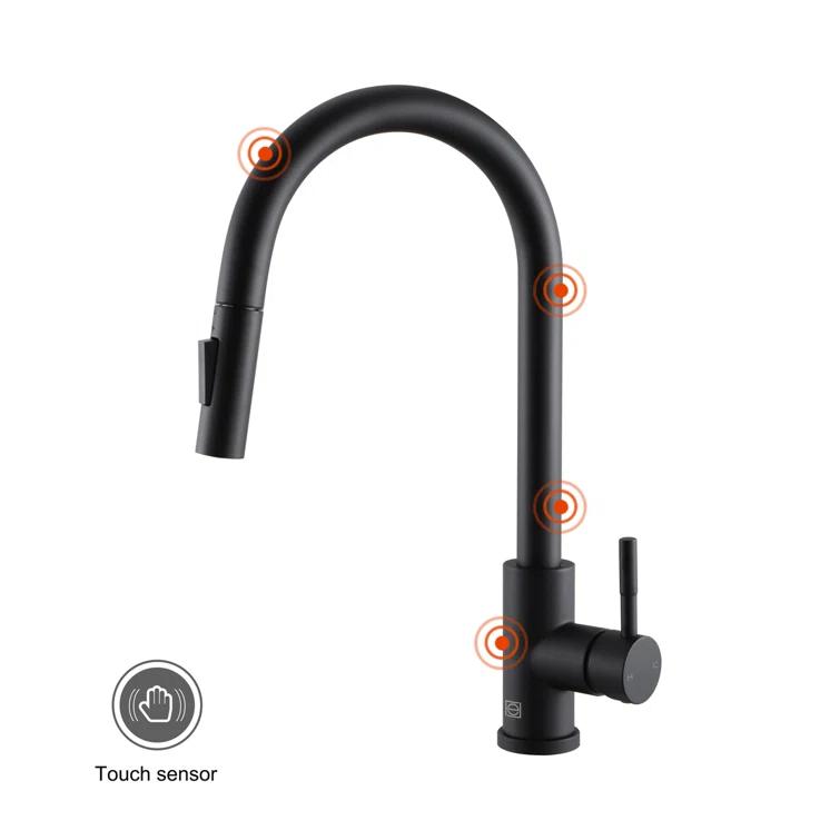 Elegant Lighting Luca Pull Down Spray Touch Kitchen Faucet