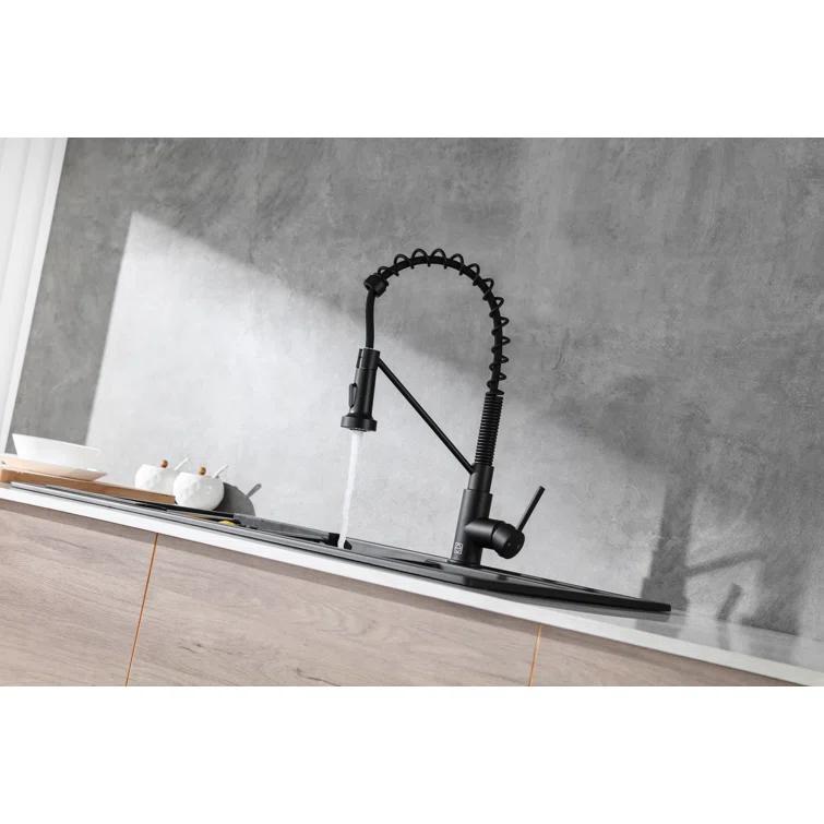 Elegant Lighting Yara Pull Down Spray Kitchen Faucet