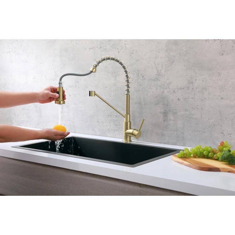 Elegant Lighting Yara Pull Down Spray Kitchen Faucet
