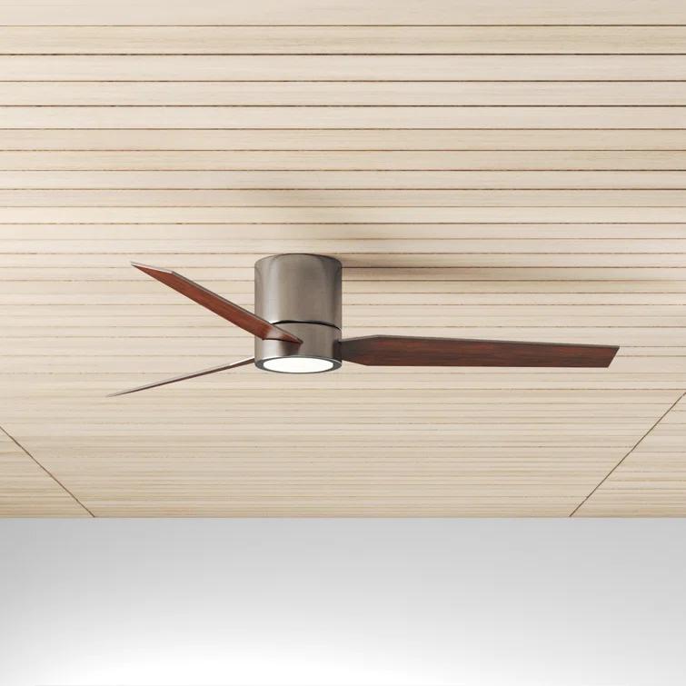 Goren 56'' 3 Blade Ceiling Fan with LED Light Kit