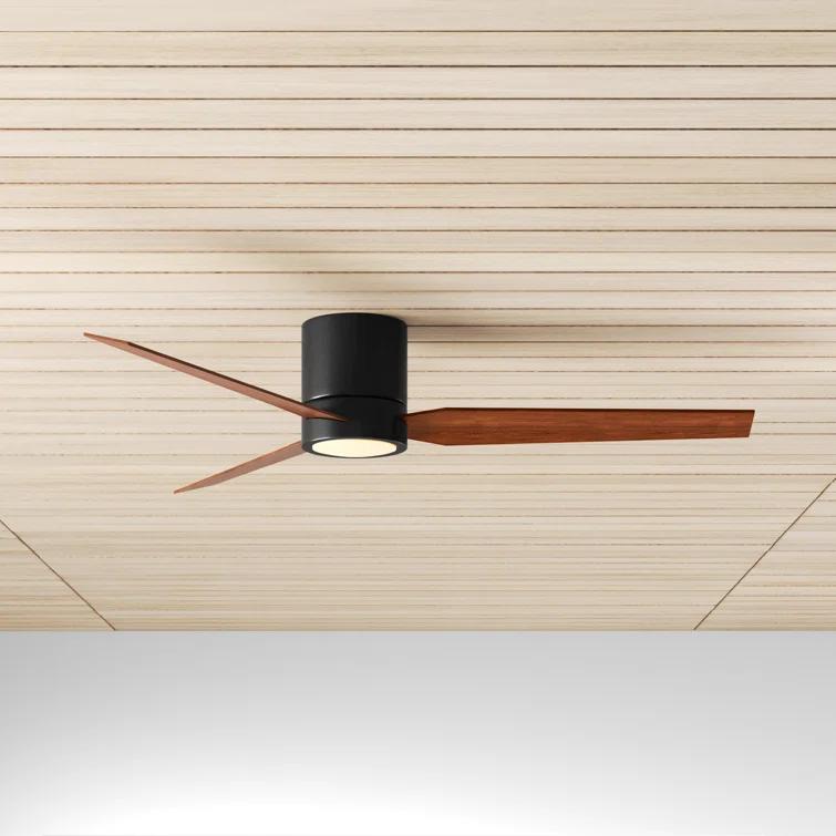 Goren 56'' 3 Blade Ceiling Fan with LED Light Kit