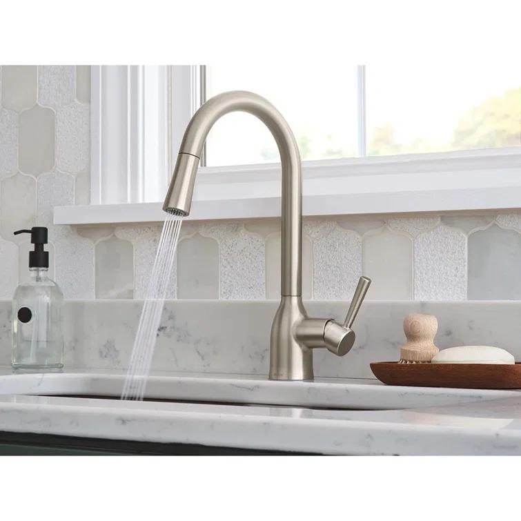 Adler Pull Down Single Handle Kitchen Faucet with Accessories