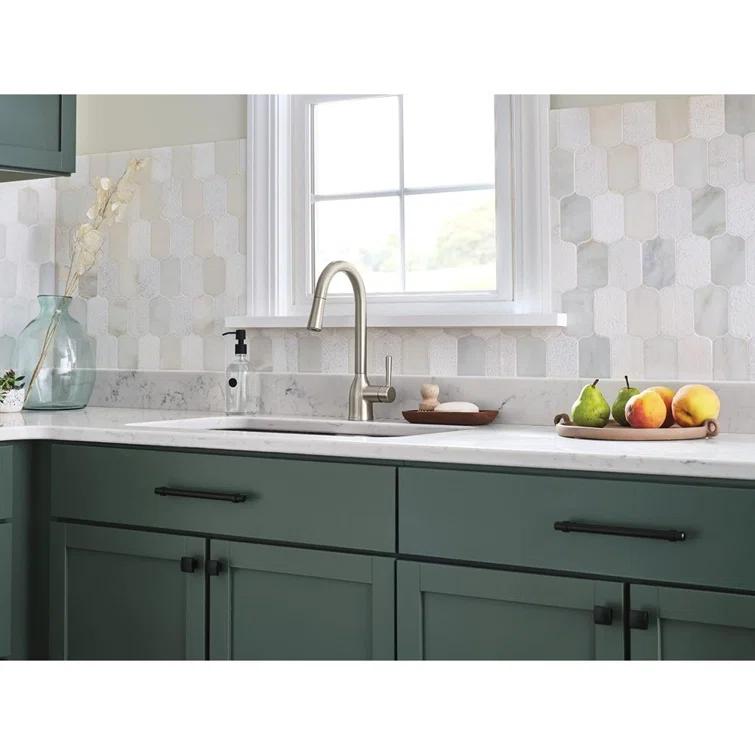 Adler Pull Down Single Handle Kitchen Faucet with Accessories