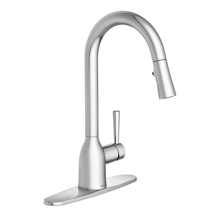Adler Pull Down Single Handle Kitchen Faucet with Accessories